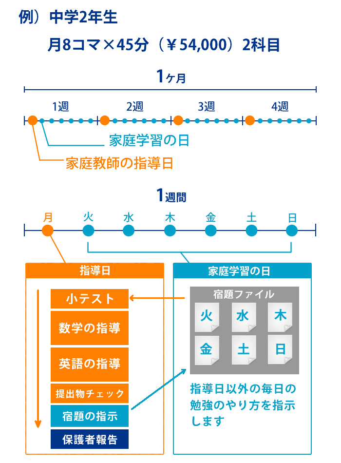 中学2年生（診断なし）料金