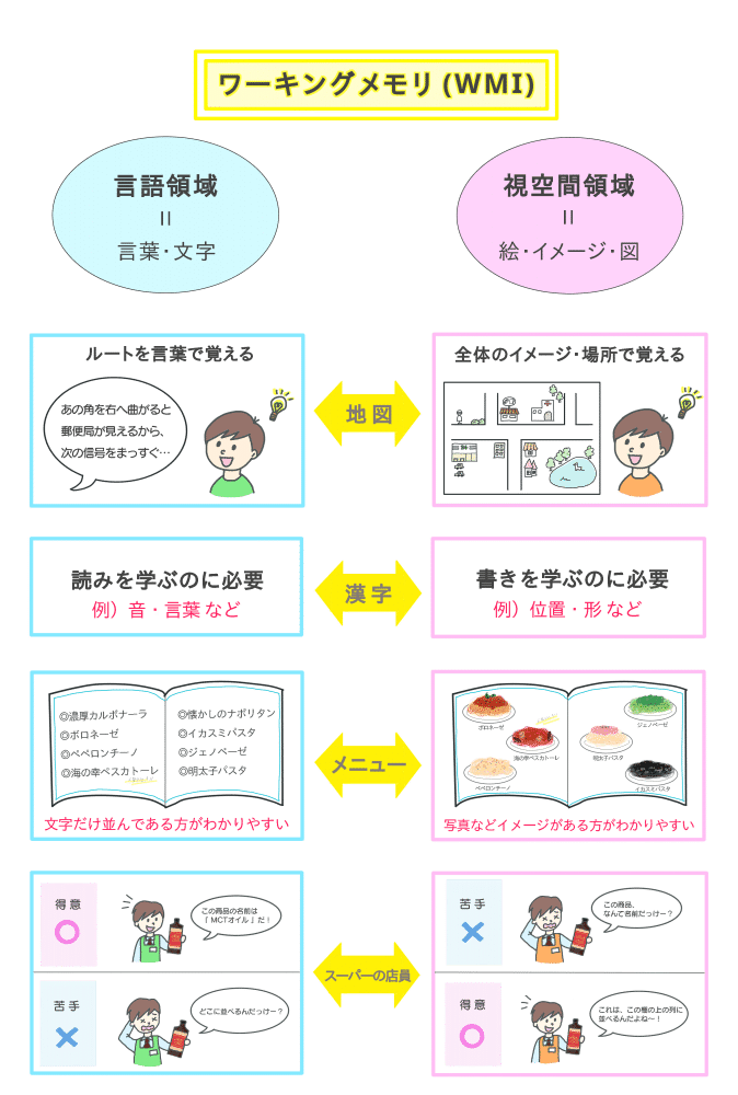 言語性ワーキングメモリと視空間性ワーキングメモリの違い