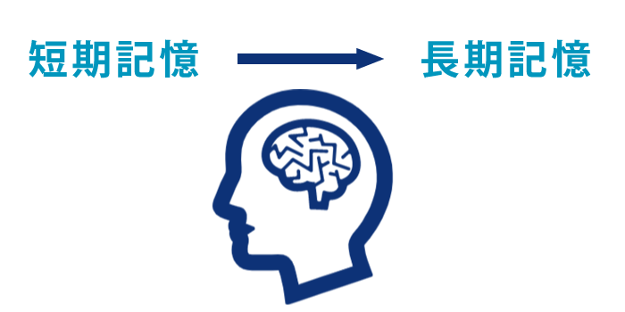 短期記憶と長期記憶